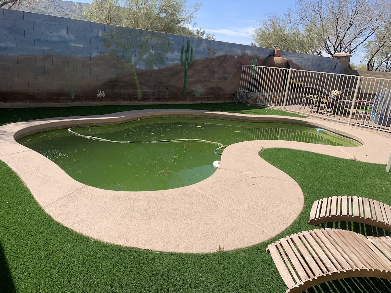 Blue Pool Plastering LLC project